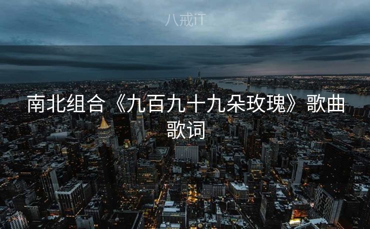 南北组合《九百九十九朵玫瑰》歌曲歌词