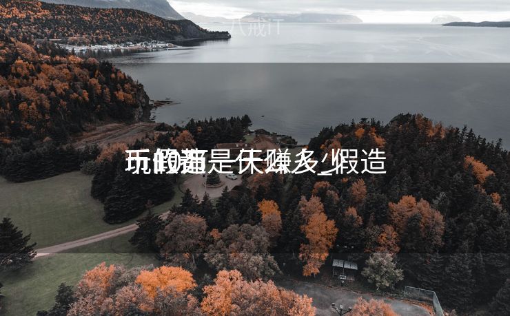 玩假造
币的都是什么人_假造
币10万一天赚多少