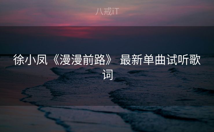 徐小凤《漫漫前路》 最新单曲试听歌词