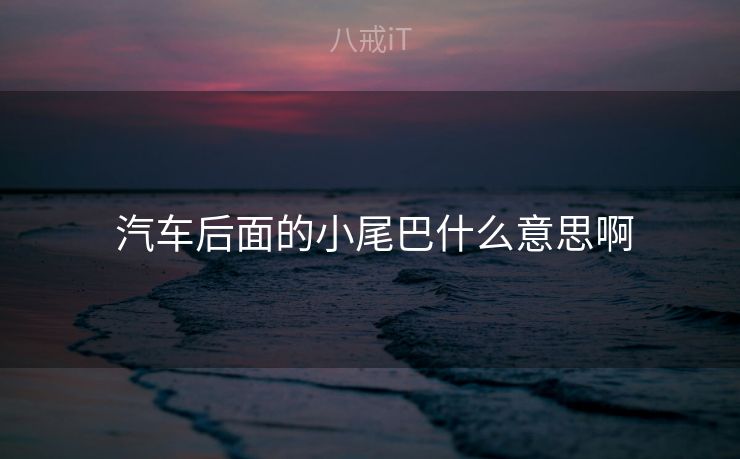  汽车后面的小尾巴什么意思啊