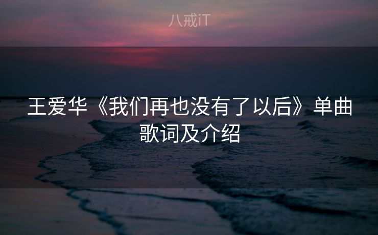 王爱华《我们再也没有了以后》单曲歌词及介绍