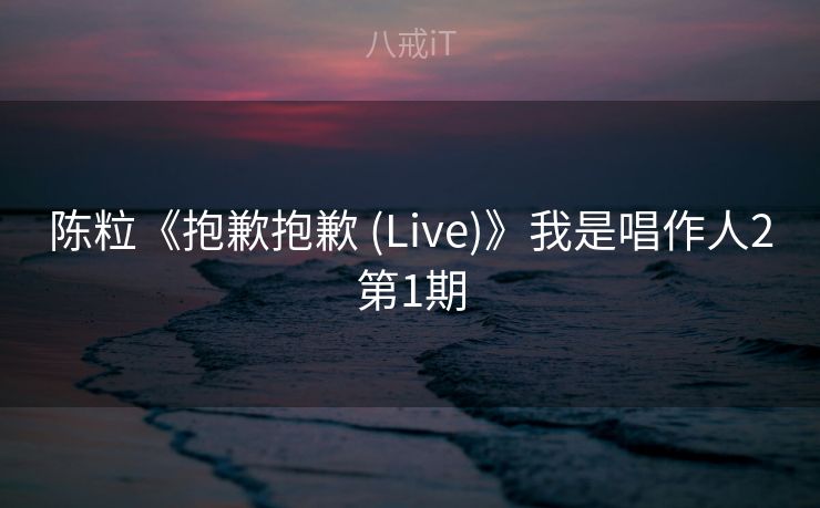 陈粒《抱歉抱歉 (Live)》我是唱作人2第1期