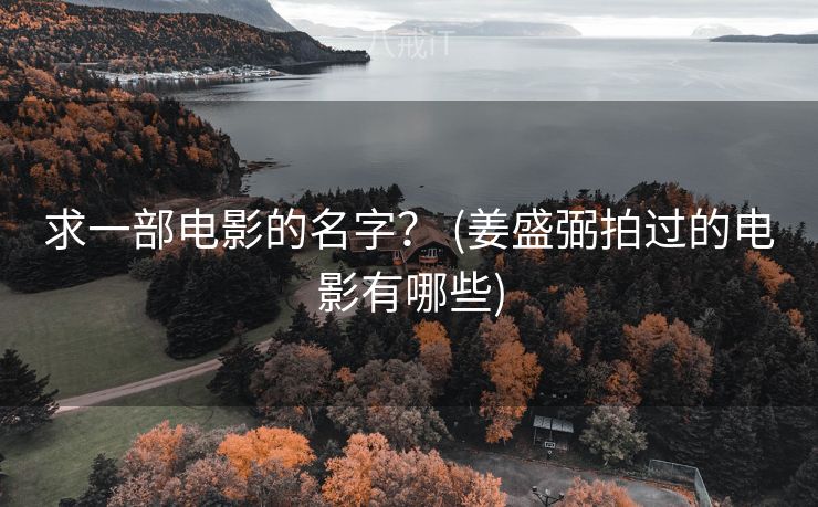 求一部电影的名字? (姜盛弼拍过的电影有哪些) 求一部电影的名字? (姜盛弼拍过的电影有哪些)
