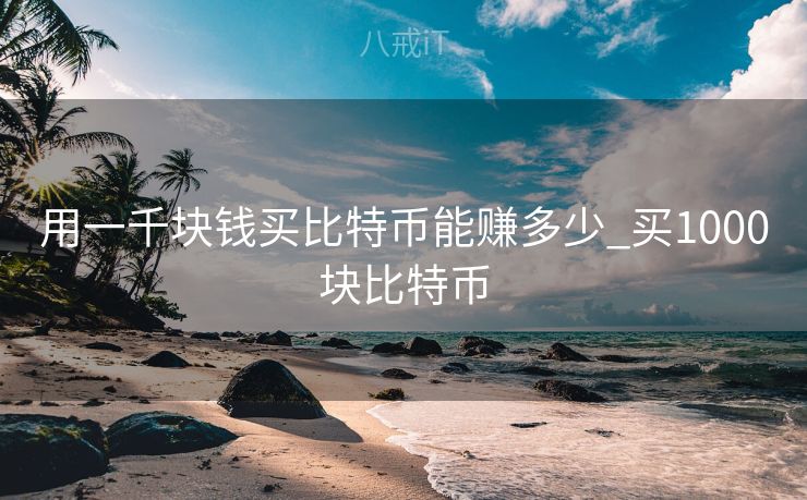 用一千块钱买比特币能赚多少_买1000块比特币