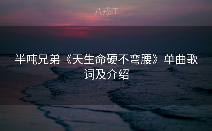 半吨兄弟《天生命硬不弯腰》单曲歌词及介绍