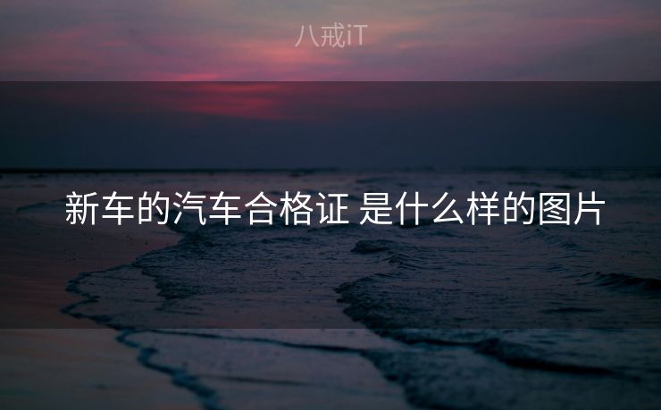  新车的汽车合格证 是什么样的图片