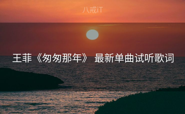 王菲《匆匆那年》 最新单曲试听歌词