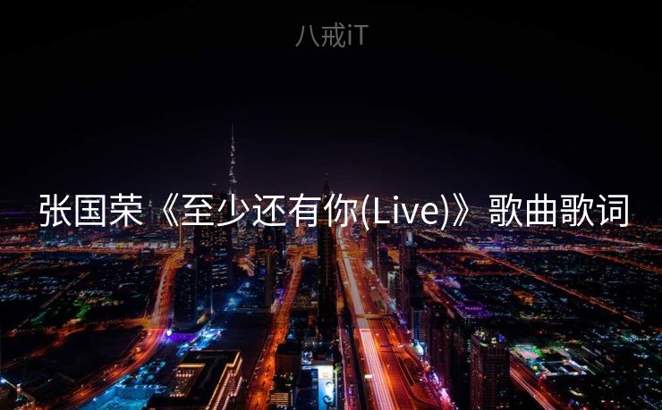 张国荣《至少还有你(Live)》歌曲歌词