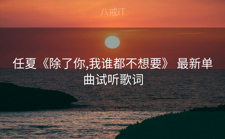 任夏《除了你,我谁都不想要》 最新单曲试听歌词
