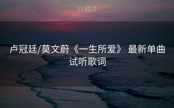 卢冠廷/莫文蔚《一生所爱》 最新单曲试听歌词