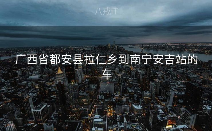广西省都安县拉仁乡到南宁安吉站的车