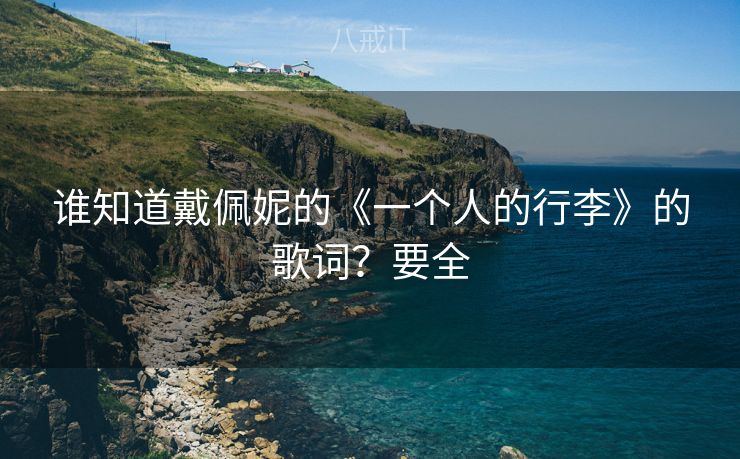 谁知道戴佩妮的《一个人的行李》的歌词？要全