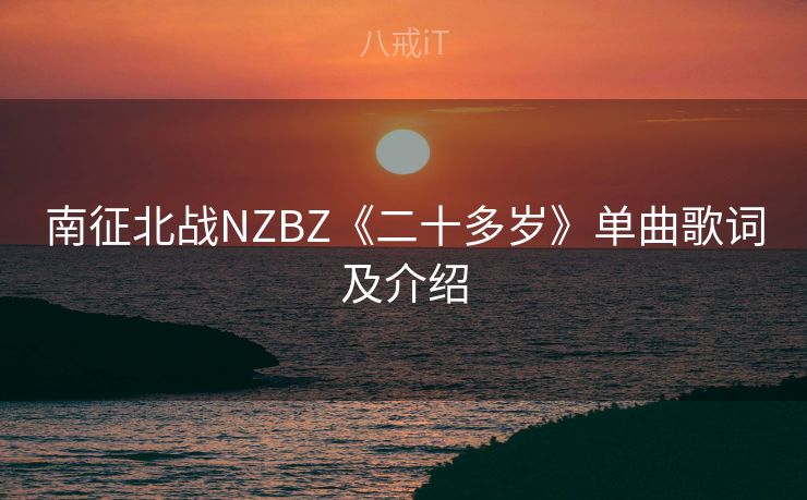 南征北战NZBZ《二十多岁》单曲歌词及介绍