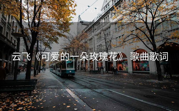云飞《可爱的一朵玫瑰花》 歌曲歌词