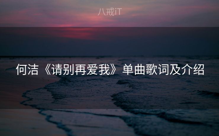 何洁《请别再爱我》单曲歌词及介绍 何洁《请别再爱我》单曲歌词及介绍