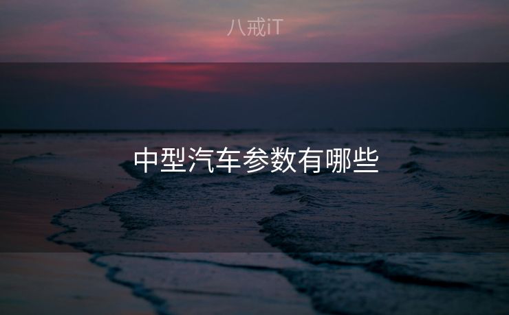 中型汽车参数有哪些