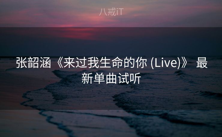 张韶涵《来过我生命的你 (Live)》 最新单曲试听