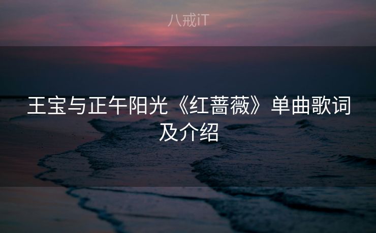 王宝与正午阳光《红蔷薇》单曲歌词及介绍