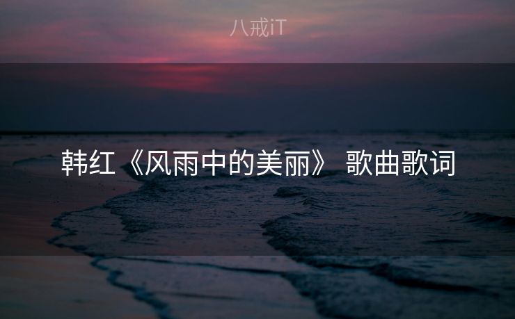 韩红《风雨中的美丽》 歌曲歌词