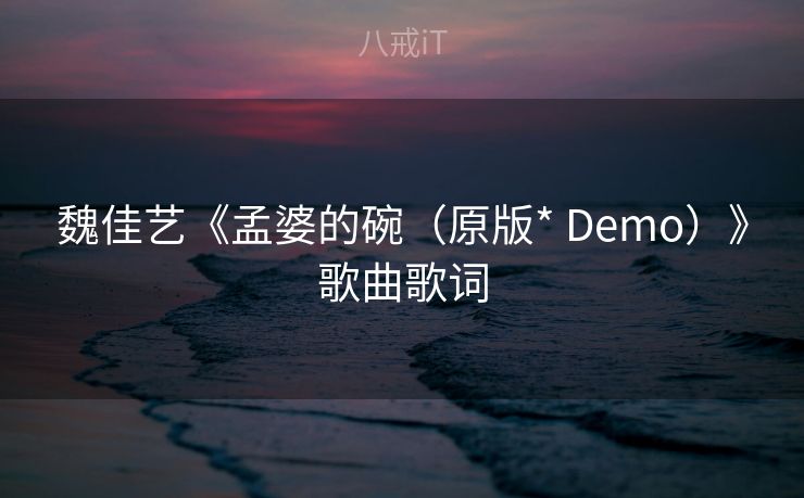魏佳艺《孟婆的碗（原版* Demo）》歌曲歌词