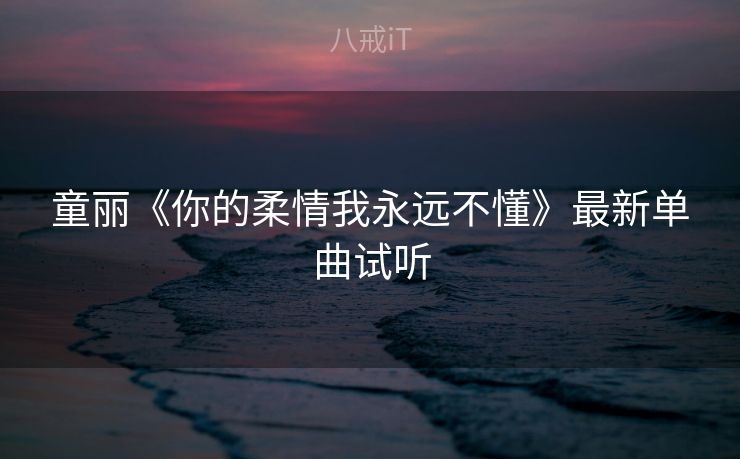 童丽《你的柔情我永远不懂》最新单曲试听