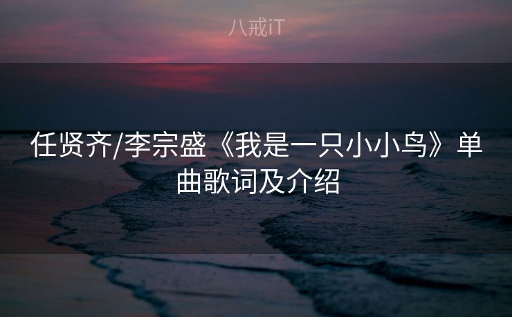 任贤齐/李宗盛《我是一只小小鸟》单曲歌词及介绍