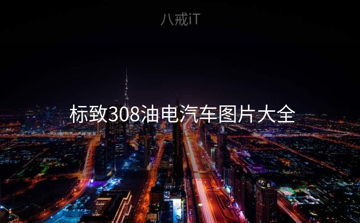  标致308油电汽车图片大全