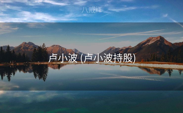 卢小波 (卢小波持股)