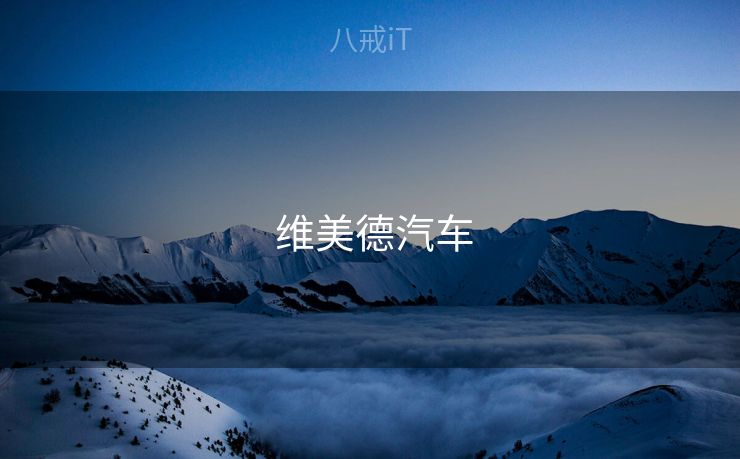 维美德汽车  维美德汽车