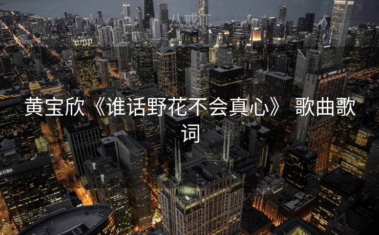 黄宝欣《谁话野花不会真心》 歌曲歌词