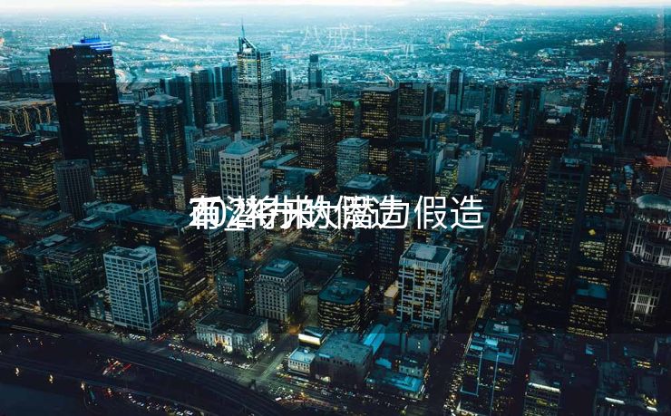 2024十大潜力假造
币_将来
有潜力的假造
币