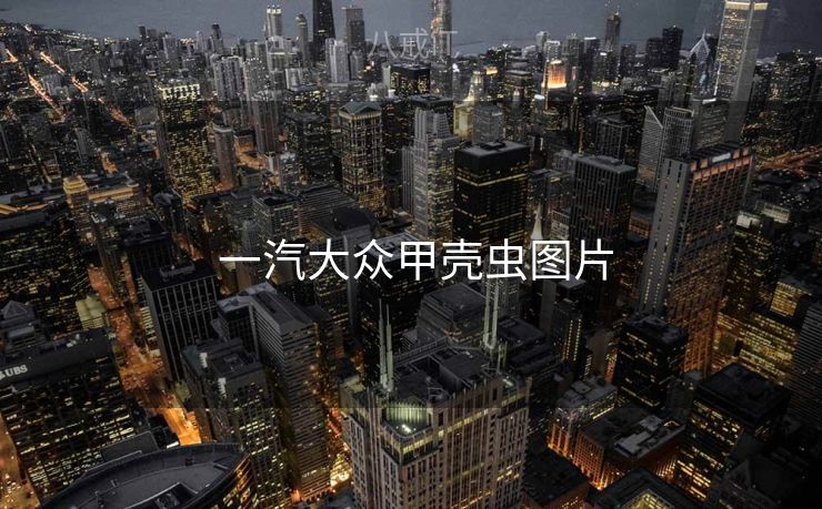  一汽大众甲壳虫图片