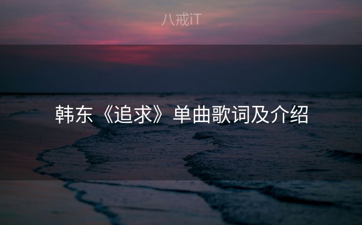 韩东《追求》单曲歌词及介绍
