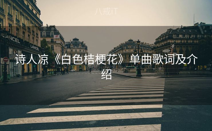 诗人凉《白色桔梗花》单曲歌词及介绍