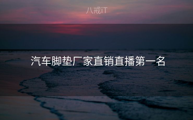  汽车脚垫厂家直销直播第一名