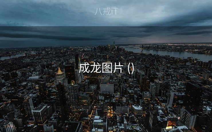 成龙图片 ()