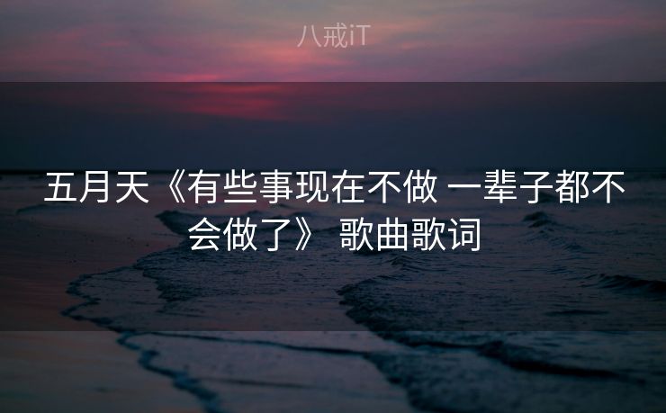 五月天《有些事现在不做 一辈子都不会做了》 歌曲歌词