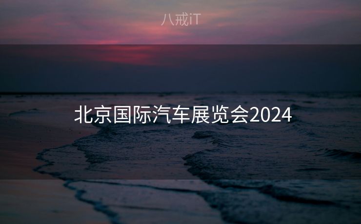  北京国际汽车展览会2024