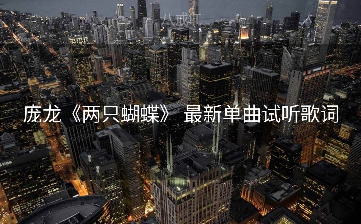 庞龙《两只蝴蝶》 最新单曲试听歌词