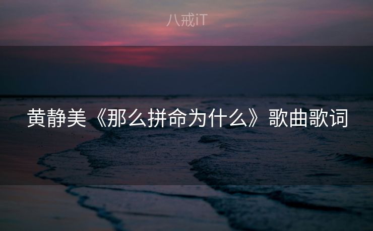 黄静美《那么拼命为什么》歌曲歌词