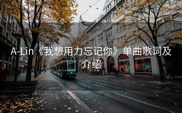 A-Lin《我想用力忘记你》单曲歌词及介绍