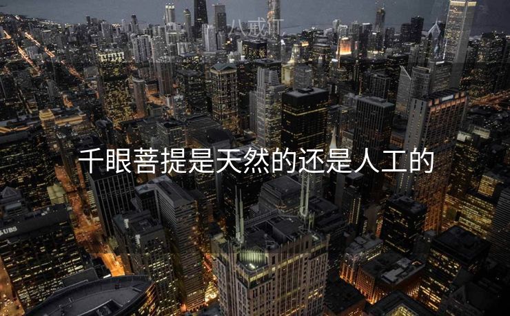 千眼菩提是天然的还是人工的