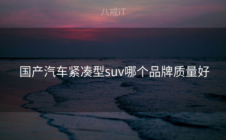  国产汽车紧凑型suv哪个品牌质量好
