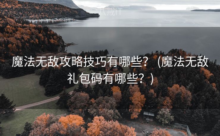 魔法无敌攻略技巧有哪些？ (魔法无敌礼包码有哪些？)
