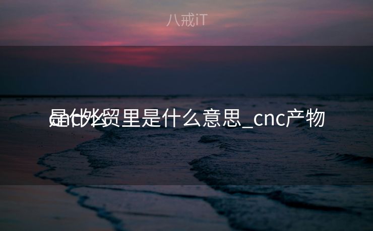 cnc外贸里是什么意思_cnc产物
是什么