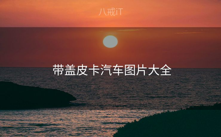 带盖皮卡汽车图片大全  带盖皮卡汽车图片大全