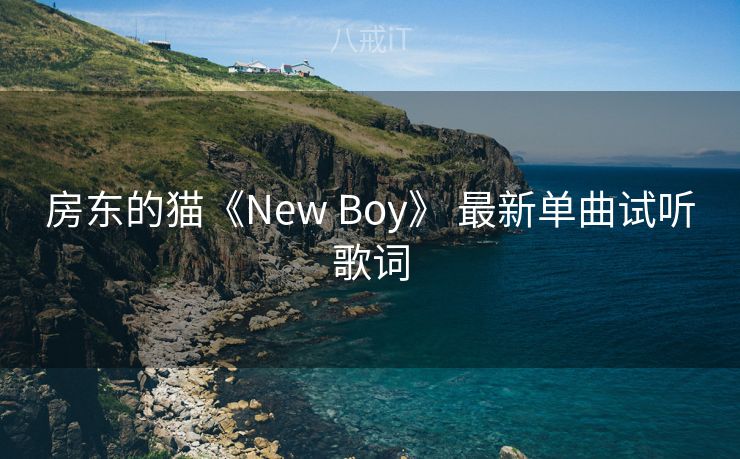 房东的猫《New Boy》 最新单曲试听歌词