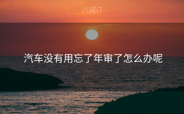  汽车没有用忘了年审了怎么办呢