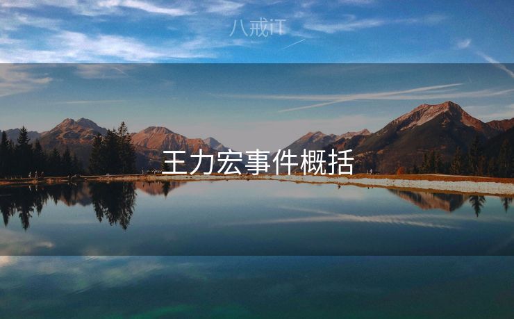 王力宏事件概括