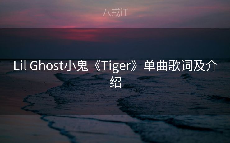 Lil Ghost小鬼《Tiger》单曲歌词及介绍